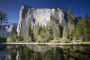 El Capitan reflected in the Merced River, Yosemite National Park, California, USA