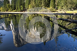 El Capitan reflected in the Merced River, Yosemite National Park, California, USA