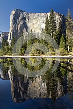 El Capitan reflected in the Merced River, Yosemite National Park, California, USA