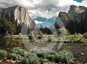 El Capitan rises high above the Yosemite Valley Floor