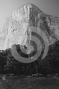 El Capitan seen from Yosemite valley floor. Vertical black and white photo