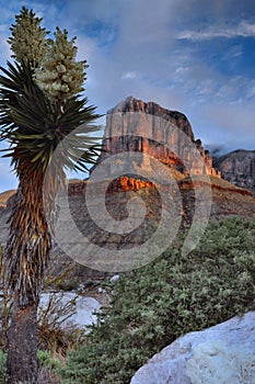 El Capitan At Sunrise