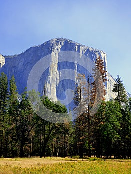 El Capitan, Yosemite National Park photo