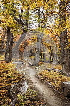 El Chalten, the magical town in autumn. El Chalten is located in the Argentine Patagonia. photo