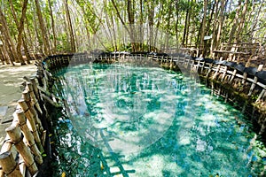 El Corchito Ecological Reserve Mexico