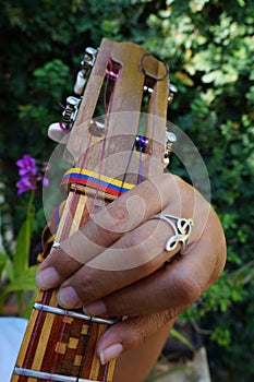 El Cuatro, Venezuelan musical instrument photo