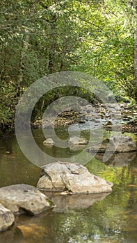 River view on El Encuentro Park, Chiapas, Mexico photo