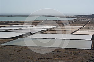 El golfo salines, lanzarote, canaria islands photo