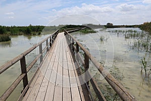 Wooden walkway that crosses one of the lagoons of the El Hondo natural park photo