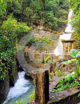 El JardÃÂ­n surrealista de Edward James en Xilitla, MÃÂ©xico photo