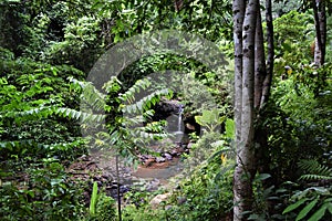 El Kabayo Waterfalls Subic Bay Philippines