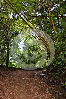 El Miro Ruins, hiking trail views, abandoned mansion, declared biological corridor, in the province of Jaco, Costa Rica 2022