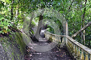 El Miro Ruins, hiking trail views, abandoned mansion, declared biological corridor, in the province of Jaco, Costa Rica 2022