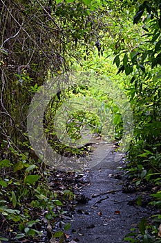 El Miro Ruins, hiking trail views, abandoned mansion, declared biological corridor, in the province of Jaco, Costa Rica 2022