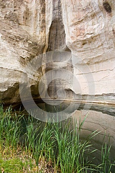 El Morro waterhole