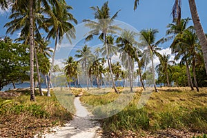 El Nido Ipil Beach Paradise. Pinagbuyutan Island. Palawan, Philippines