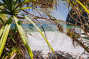 El Nido, Palawan, Philippines. Tropical paradise beach with exotic foliage plants. Blue lagoon surrounds by karst