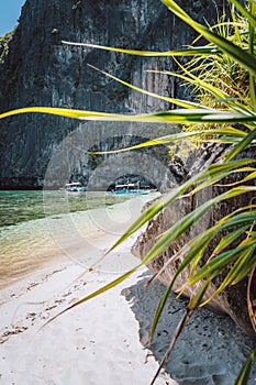 El Nido, Palawan, Philippines. Tropical sandy beach with exotic foliage plants surrounds by karst limestone rocky mountains