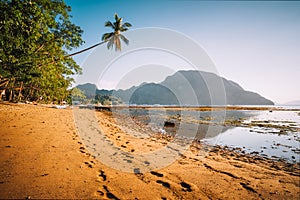 El Nido village coastline, with sandy beach and palm trees and local boats in shallow lagoon at golden sunset light