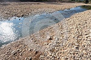 El Nino weather phenomenon cause drought in asia