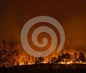 El Nino weather phenomenon cause drought and increase wildfire photo