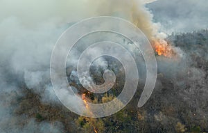 El Nino weather phenomenon cause drought and increase wildfire in southeast asia