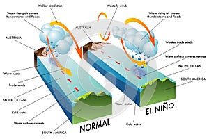 El NiÃÂ±o photo