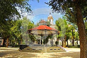 El Paseo del Prado y la Catedral de Ciudad Real, EspaÃÂ±a photo