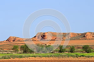 El Planeron Nature Reserve, Quinto and Belchite, Spain