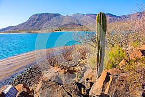 El Requeson Beach, Mulege Mar Turquoise