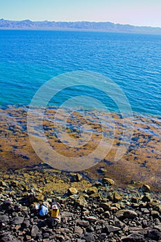 El Requeson Beach, Mulege Mar Turquoise