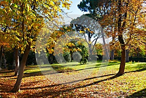 El Retiro in autumn, Madrid, Spain