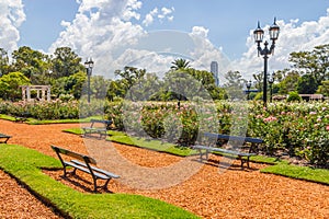 El Rosedal de Palermo photo