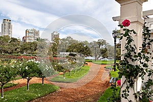 El Rosedal Rose Park at Bosques de Palermo - Buenos Aires, Argentina