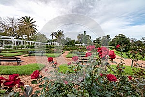 El Rosedal Rose Park at Bosques de Palermo - Buenos Aires, Argentina