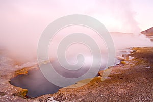 El Tatio Geysers in the Atacama deser