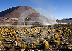 El Tatio Geysers - Atacama Desert - Chile