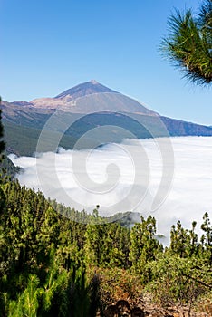 El Teide National Park with the sea of â€‹â€‹clouds. Tenerife. Canary Islands