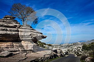 El Torcal National Geological Park Andalusia Spain photo