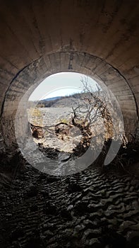 El tunel de la vision photo