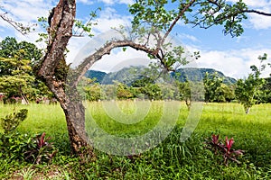 El Valle de Anton in Panama.