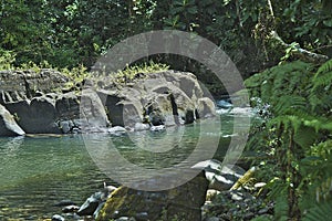 El Yunque creeks, Puerto Rico. photo