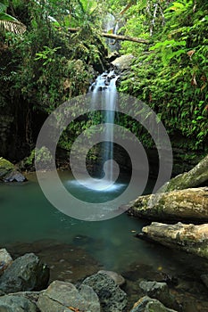 El Yunque Falls and Pool