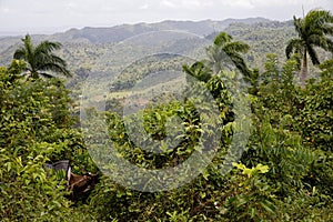 El Yunque National Forest near Baracoa in the Guantanamo province, Cuba