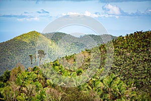 El Yunque National Forest Puerto Rico scenic view photo