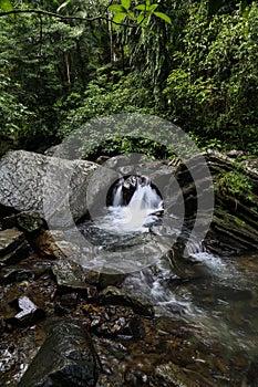 El Yunque National Forest photo