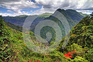 El Yunque panorama photo