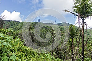 El yunque rainforest and mountaintop