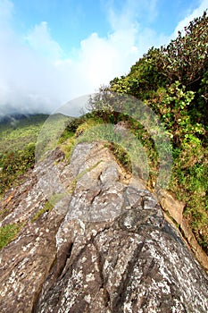 El Yunque Rainforest - Puerto Rico