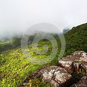 El Yunque Rainforest - Puerto Rico